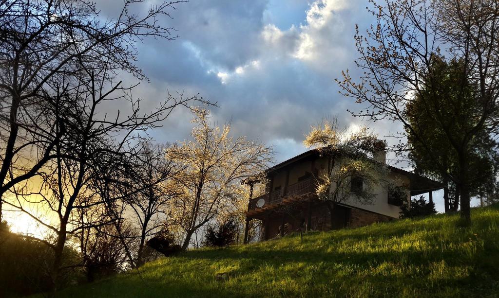 Golden Horn Guest House Iskrets Exterior photo